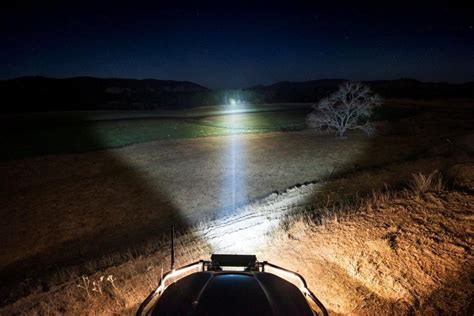 kings laser spotlights.